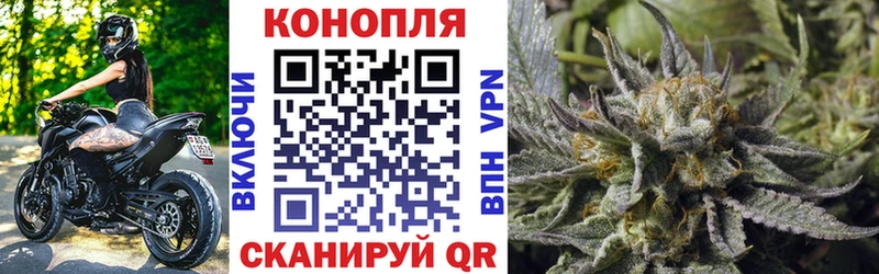 Бошки Шишки ГИДРОПОН  Солнечногорск 